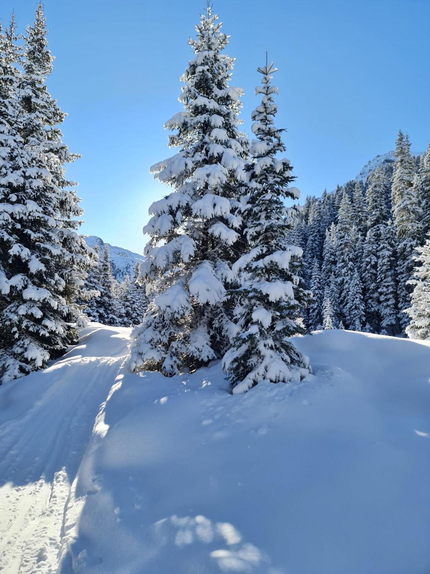 Haus Alpenblick * See